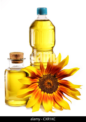 Cooking oil in a plastic and glass bottles with sunflower on a white background. Stock Photo