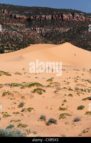 Wandering sand dunes in Coral Pink Sand Dunes State Park, Utah, USA Stock Photo