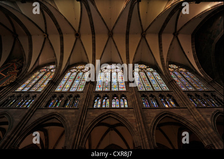 Stained glass windows, church window, northern nave, interior view of Strasbourg Cathedral, Cathedral of Our Lady of Strasbourg Stock Photo