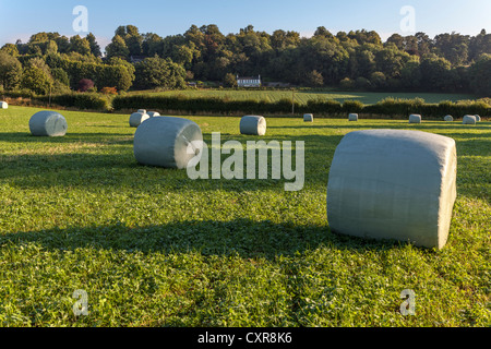 HAY BALES WRAPPED IN PLASTIC IN FIELD GLOUCESTERSHIRE ENGLAND UK Stock Photo