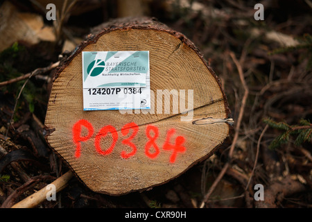 Concept of sustainability, labelling, freshly felled spruce tree from the Bavarian State Forestry, Schliersee, Bavaria Stock Photo