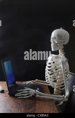 Skeleton Using a Computer Stock Photo - Alamy