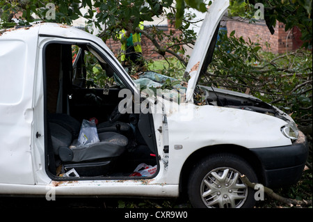 White Van Crushed by falling tree in high winds Stock Photo