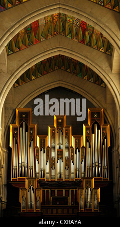 Grenzing organ, interior view, Catedral de Nuestra Señora de la Almudena, Santa María la Real de La Almudena, Almudena Cathedral Stock Photo
