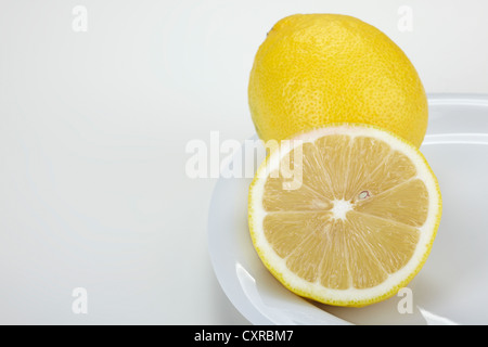Lemon (Citrus limon), whole and halved, on a white plate Stock Photo