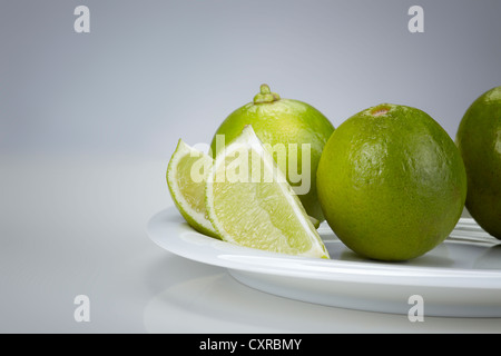 Limes (Citrus latifolia) on a white plate Stock Photo