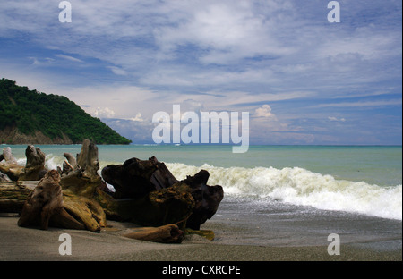 Cabo Blanco nature Reserve, Costa Rica Stock Photo