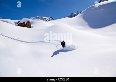 Skier downhill skiing in deep powder snow, Ahornspitze mountain, Zillertal Alps, Zillertal valley, northern Tyrol, Tyrol Stock Photo