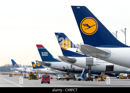 Lufthansa aircraft and aircraft of its Star Alliance partners standing at their parking positions in Terminal 2 of Munich Stock Photo