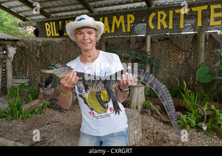 Tourist holding American alligator or gator (Alligator mississippiensis), Billie Swamp Critter Show, Big Cypress Stock Photo