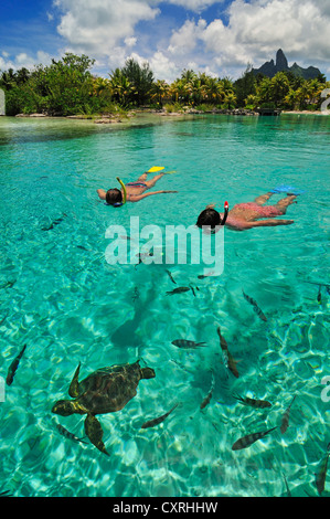 Snorkellers, St. Regis Bora Bora Resort, Bora Bora, Leeward Islands, Society Islands, French Polynesia, Pacific Ocean Stock Photo