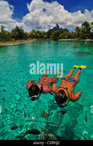 Snorkellers, St. Regis Bora Bora Resort, Bora Bora, Leeward Islands, Society Islands, French Polynesia, Pacific Ocean Stock Photo