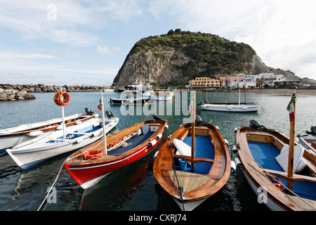 Fishing village of Sant'Angelo, Serrara Fontana, Ischia Island, Gulf of Naples, Campania, Southern Italy, Italy, Europe Stock Photo