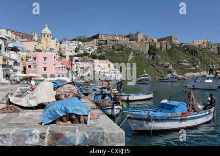 Fishing port of Marina di Corricella, Island of Procida, Gulf of Naples, Campania, Southern Italy, Italy, Europe Stock Photo