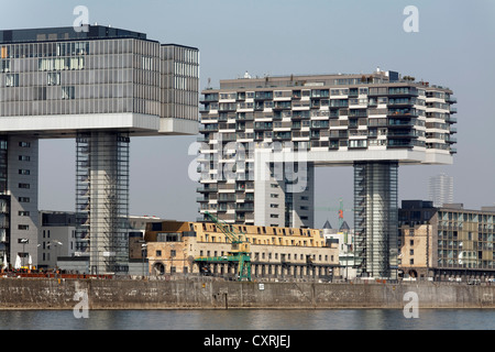 Kranhaeuser buildings on the Rhine River, as seen from Deutzer Rheinufer, Rheinauhafen, Cologne, North Rhine-Westphalia Stock Photo
