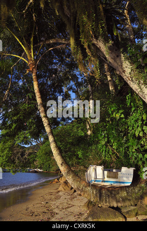 Boat lying on a palm tree on the beach of Ihla Grande, Brazil, South America Stock Photo