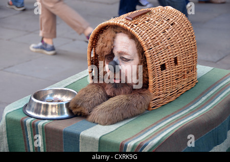 Street performer dressed as a dog in Covent Garden, London, England, United Kingdom, Europe Stock Photo