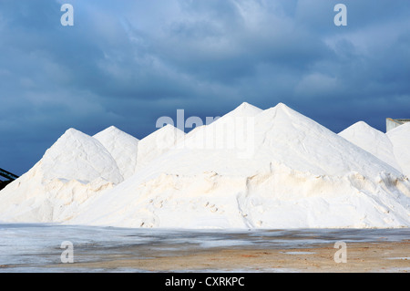 Sea salt in the Salines de Llevant near Es Trenc, Majorca, Balearic Islands, Spain, Europe Stock Photo