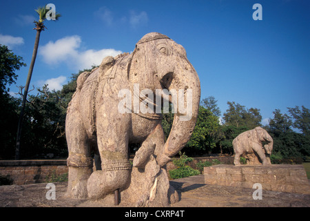 Stone elephants, Surya or Sun Temple, UNESCO World Heritage Site, Konarak or Konark, Orissa, East India, India, Asia Stock Photo