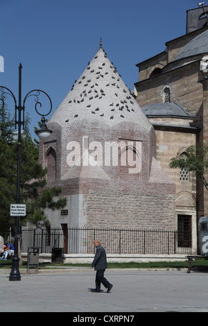 Seljuk memorial tomb of Seyh Serafettin, 13th century, with pigeons in central Konya, Turkey Stock Photo