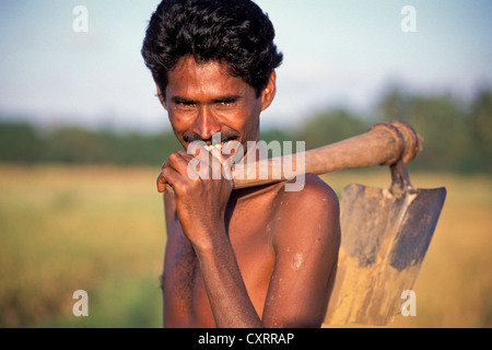 Agriculture labourer ; Tamil Nadu ; India NO MR Stock Photo - Alamy