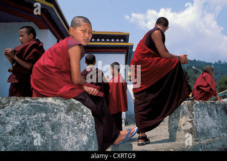 Monks, Tibetan Buddhism, Karma Kagyu lineage, Rumtek Monastery, near Gangtok, Sikkim, Indian Himalayas, India, South Asia, Asia Stock Photo