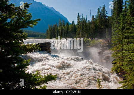 Athabasca Falls in Jasper National Park, Alberta. Stock Photo