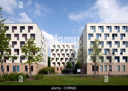 Dormitory of the Johann Wolfgang Goethe University of Frankfurt, Westend Campus, Frankfurt am Main, Hesse, PublicGround Stock Photo