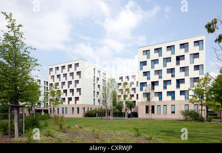 Dormitory of the Johann Wolfgang Goethe University of Frankfurt, Westend Campus, Frankfurt am Main, Hesse, PublicGround Stock Photo