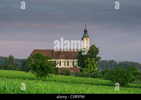 The Baroque pilgrimage church of Birnau on Lake Constance, evening light, vines at front, Lake Constance region Stock Photo