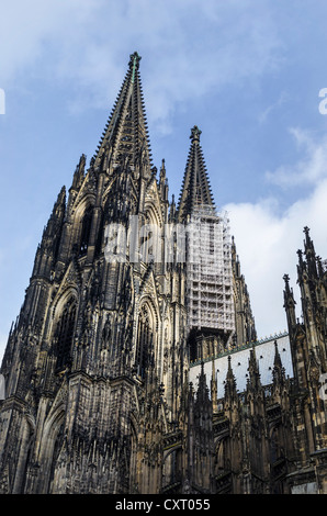 The nearly 158 meter high twin towers of Cologne Cathedral with suspended scaffolding for renovations, Cologne Stock Photo