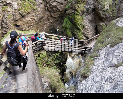 Wasserlochklamm gorge near Palfau, Upper Styria, Styria, Austria, Europe Stock Photo