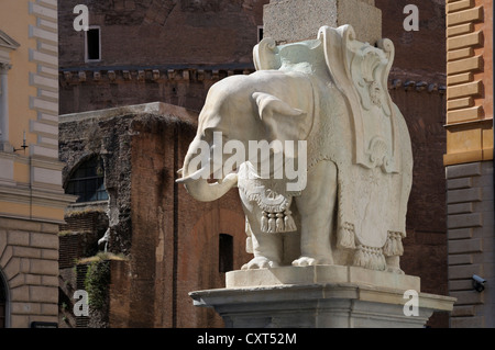 Elephant and Obelisk, designed by Bernini, Piazza Santa Maria sopra Minerva, Rome, Italy, Europe Stock Photo