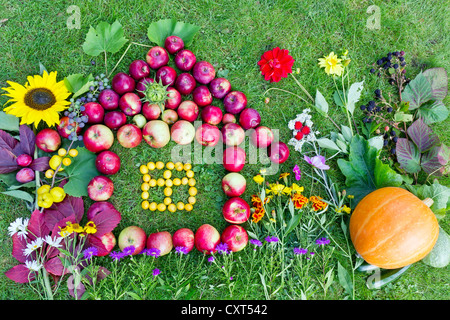 Autumn harvest concept. Collage of fruits and flowers placed on the green lawn Stock Photo