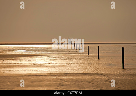 Peolpe walking across the mudflats in the evening light, shallow waters of the North Sea, Schleswig-Holstein Wadden Sea National Stock Photo