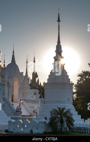 Stupas, Wat Suan Dok, Chiang Mai, northern Thailand, Thailand, Asia Stock Photo