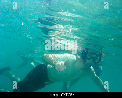 man snorkeling with mask and snorkel in clear water showing thumbs up dry tortugas florida keys usa Stock Photo