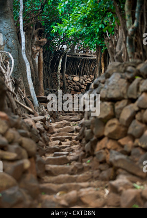 Security System, Fences In Konso Tribe's Village, Omo Valley, Ethiopia Stock Photo