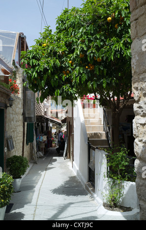 dh Omodos TROODOS CYPRUS Cypriot orange tree with fruit oranges village alley street mountains villages greek Stock Photo