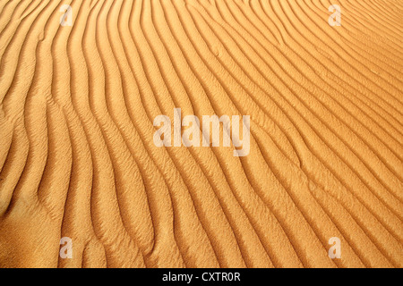 Vertical view of a large sand dune with blue sky in the back and