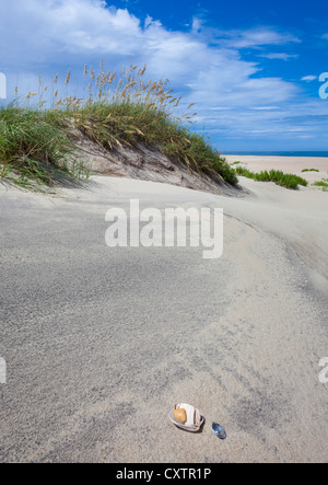 Pea Island National Wildlife Refuge, North Carolina Sand dune with shells and sea oats on Pea Island, Cape Hatteras Stock Photo