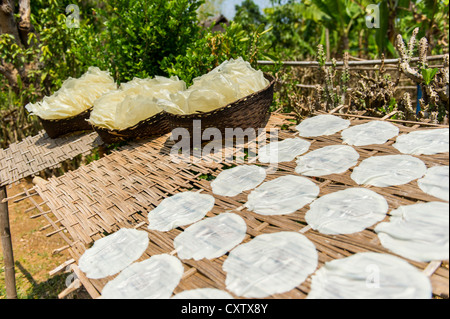 Rice crackers drying in the sun Stock Photo