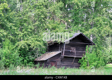 Shabby house in a forest Stock Photo