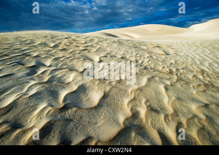 Rippled sand dune in evening light at Fowlers Bay. Stock Photo