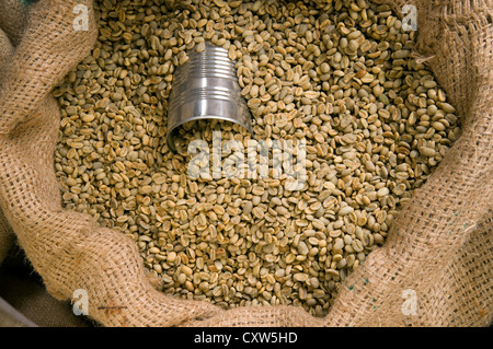 A can sits in the beans waiting to scoop and take beans to the roaster Stock Photo