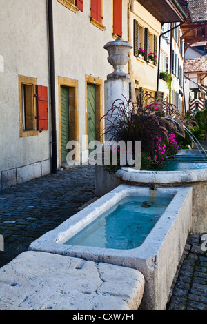 Fountain and old communal washing station in the medieval town of Murten, Switzerland Stock Photo