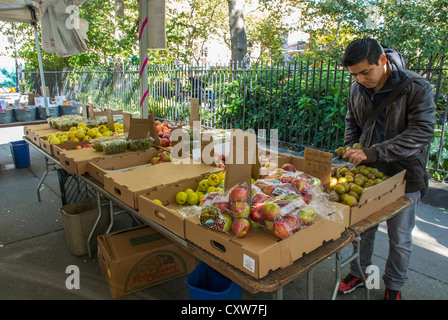 New York City, NY, USA, Male Clerk Working at Street Food Vendor, Fresh, Local Fruit, Farmer's Market, in Greenwich Village, 'Abingdon Square' International Immigrants, farmers life Stock Photo