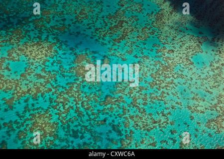 Aerial view of Arlington Reef brilliant coral formations underwater in the Great Barrier Reef Marine park Australia Stock Photo