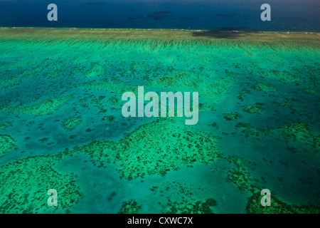 Aerial view of Arlington Reef colorful coral formations underwater in the Great Barrier Reef Maine Park Australia Stock Photo