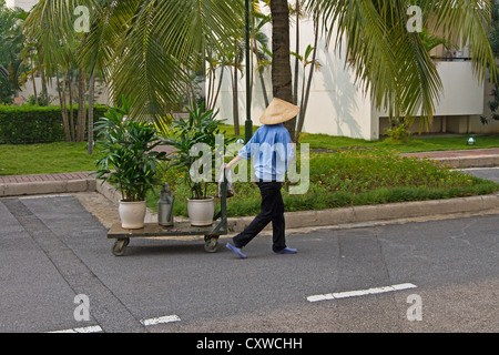 Maid cleaning rooms in hotel, Cuban maid, hotel maid, Cuban hotel Stock